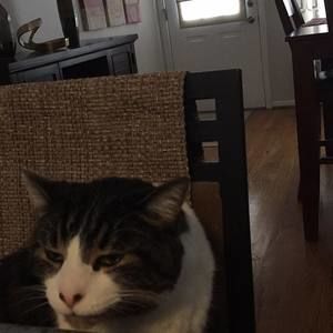 Meet your Posher, Sebastian